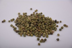 Pieprz zielony ziarno