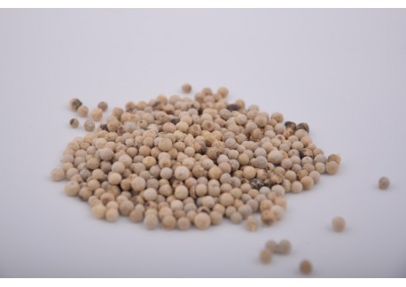 Pieprz biały ziarno